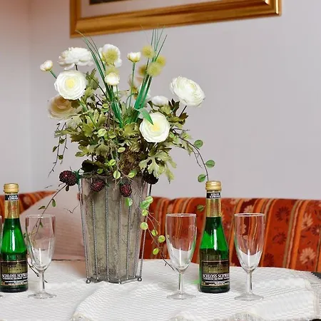 Apartment Mitterer Waidring